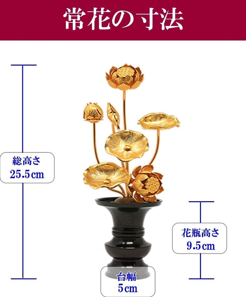 🏛️ 마쓰야마시 고고관 (마쓰야마시 고코칸) 이미지 4